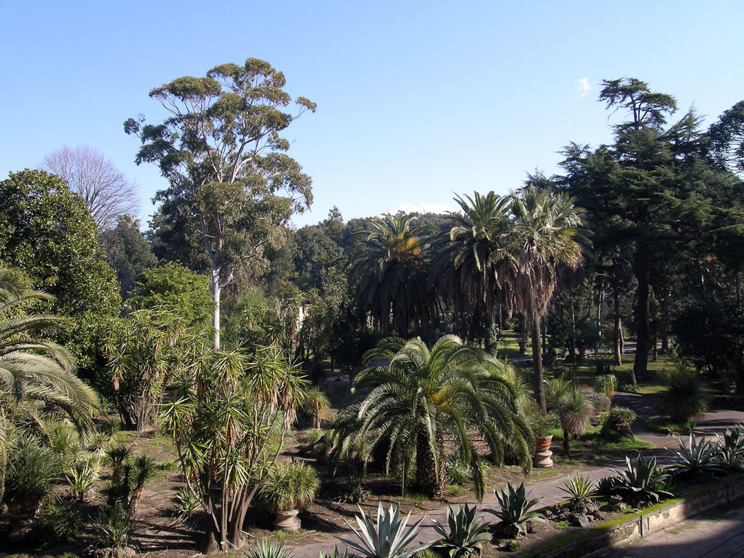 Orto botanico Portici