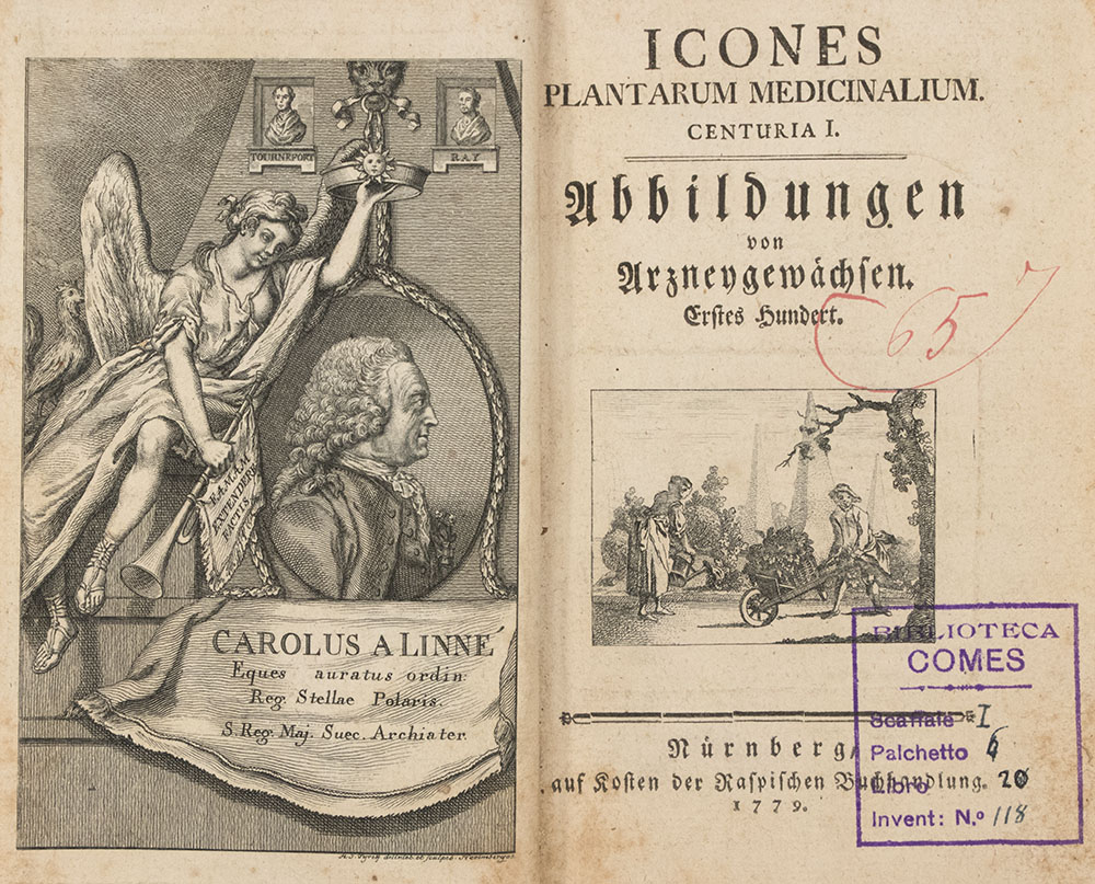 017a_Johann-Zorn_Icones-Plantarum_Medicinalium_Centuria_I