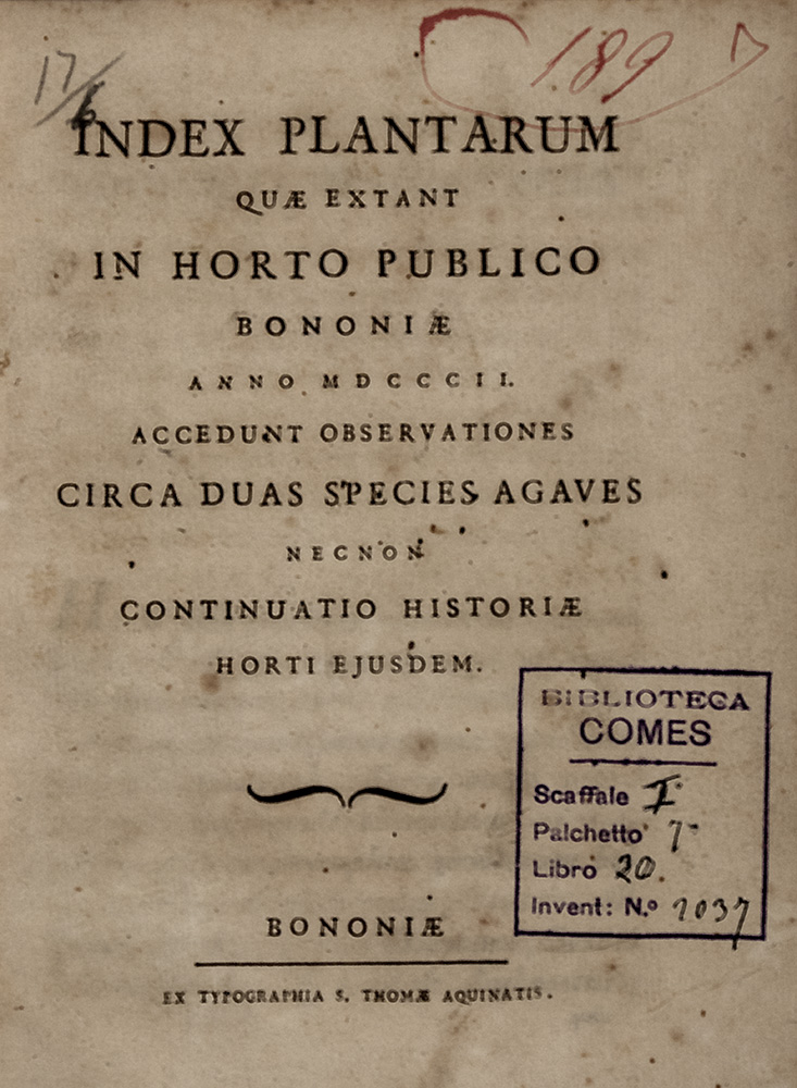 034a_Luigi-Rodati_Index-Plantarum