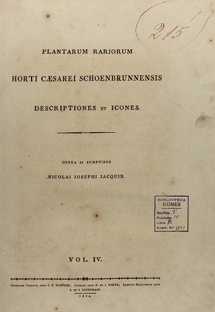 037_Nikolaus-Joseph-von-Jacquin_Plantarum-rariorum-Horti-Caesarei-Schoenbrunnensis-descriptiones-et-icones